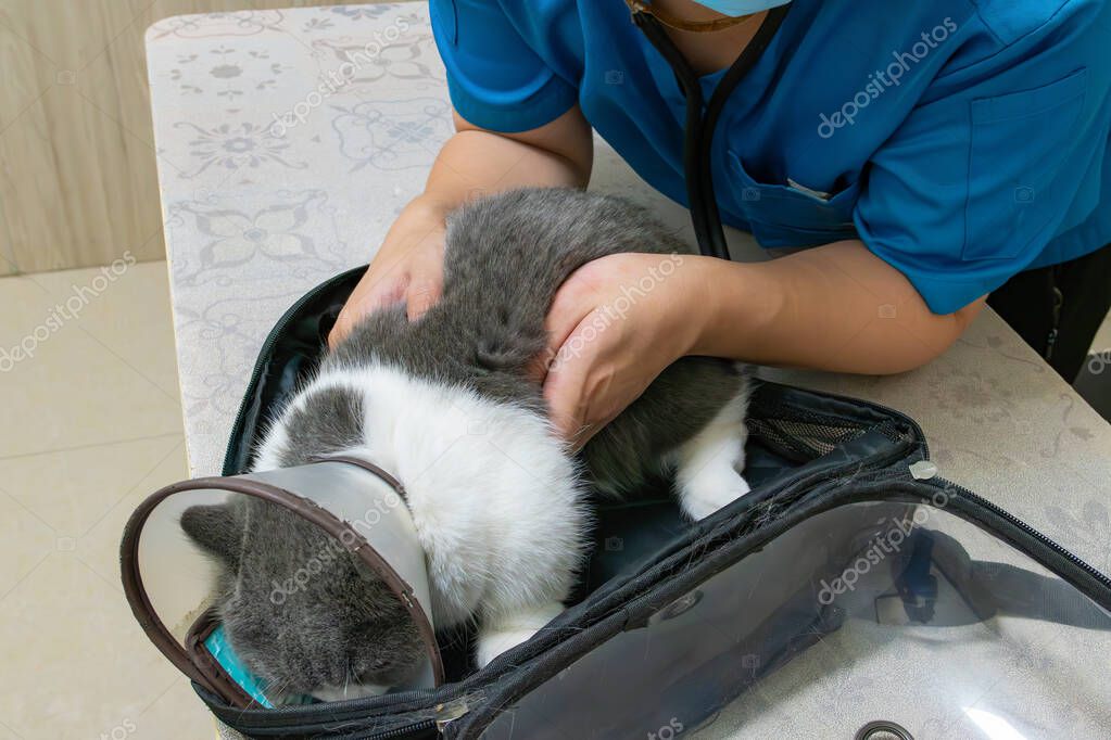 Etiket: Klinik